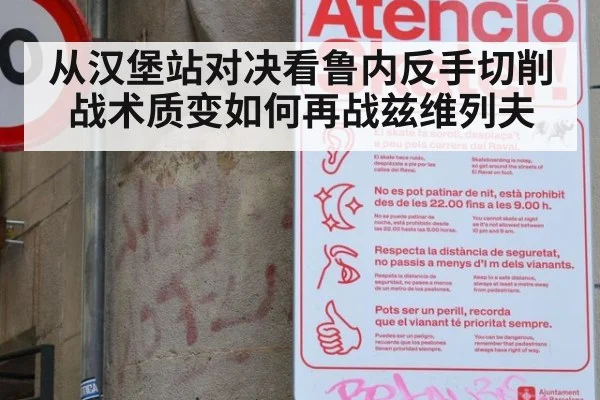 从汉堡站对决看鲁内反手切削战术质变如何再战兹维列夫