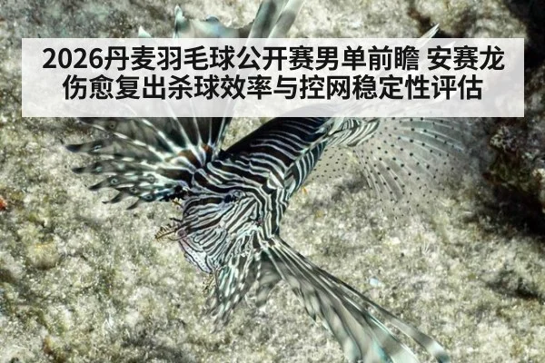2026丹麦羽毛球公开赛男单前瞻 安赛龙伤愈复出杀球效率与控网稳定性评估