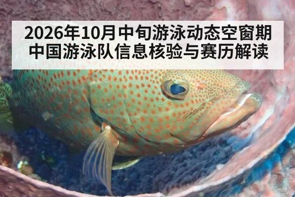 2026年10月中旬游泳动态空窗期 中国游泳队信息核验与赛历解读